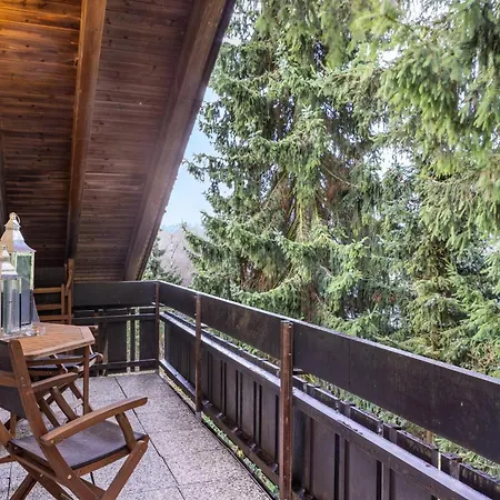 Skywalk Loft * Willingen (Upland)